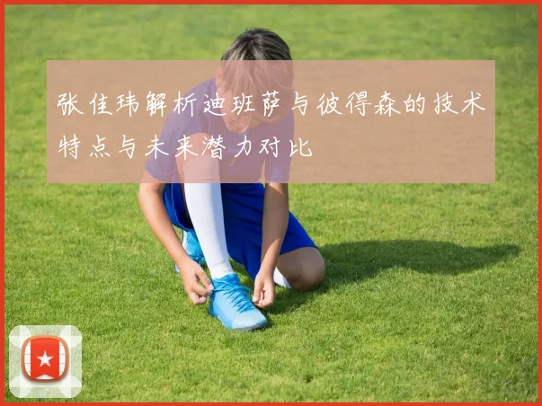 张佳玮解析迪班萨与彼得森的技术特点与未来潜力对比