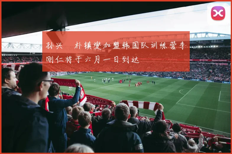 孙兴慜朴镇燮加盟韩国队训练营李刚仁将于六月一日到达